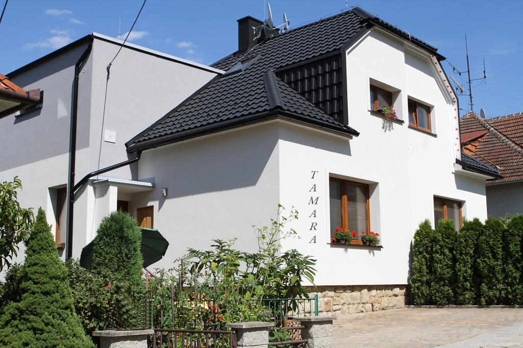 Apartament Dum Tamara Luhačovice Pokój zdjęcie
